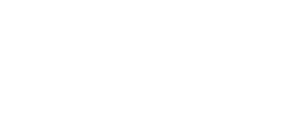 DDS Revenue System header logo